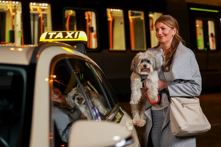 Es ist dunkel. Eine Frau mit Hund auf dem Arm steht neben einem Taxi, im Hintergrund steht eine innen beleuchtete Stadtbahn.