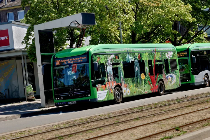 Zwei eCitaro Busse am Endpunkt August-Holweg-Platz. Der vordere Bus hat den Pantographen ausgefahren und ist bunt beklebt. Motive sind Wahrzeichen, die man auf den Linien 100 und 200 sehen kann.