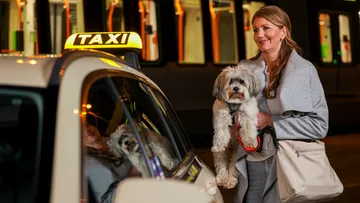 Es ist dunkel. Eine Frau mit Hund auf dem Arm steht neben einem Taxi, im Hintergrund steht eine innen beleuchtete Stadtbahn.