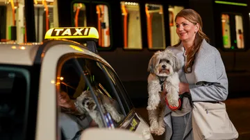 Es ist dunkel. Eine Frau mit Hund auf dem Arm steht neben einem Taxi, im Hintergrund steht eine innen beleuchtete Stadtbahn.