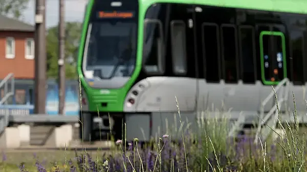 Stadtbahn fährt in Leinhausen an blühender Wiese vorbei